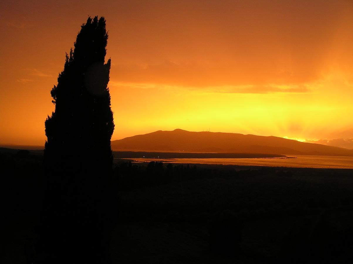 Agriturismo Grazia Orbetello Eksteriør billede