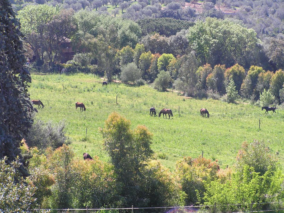Agriturismo Grazia Orbetello Eksteriør billede