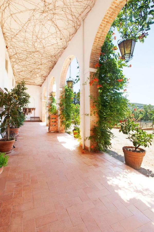 Agriturismo Grazia Orbetello Eksteriør billede